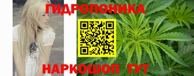 трава Краснодар
