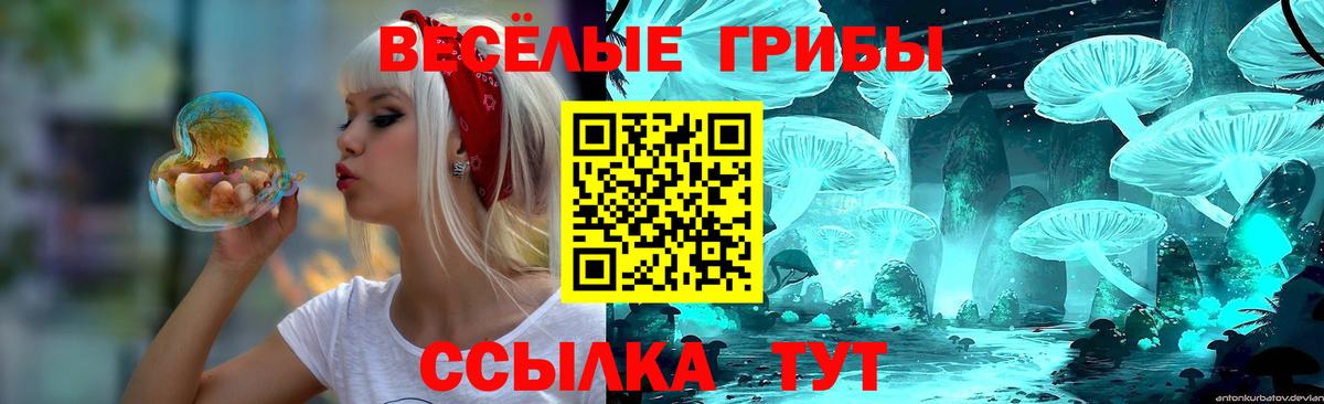 Ивантеевка  Псилоцибиновые грибы ЛСД  Вход с VPN 